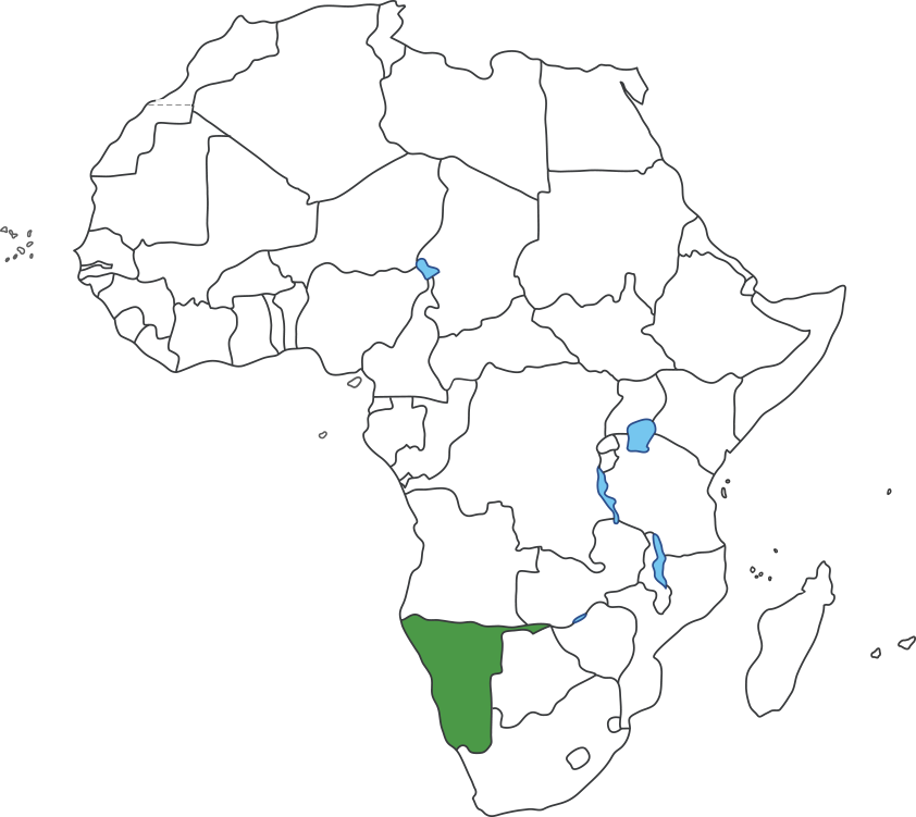 아프리카 대륙 지도에 나미비아 영역 표시된 지도