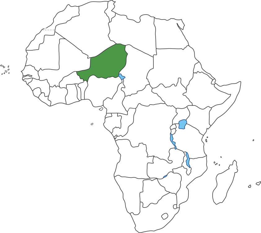 아프리카 대륙 지도에 니제르 영역 표시된 지도