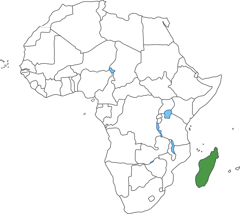 아프리카 대륙 지도에 마다가스카르 영역 표시된 지도