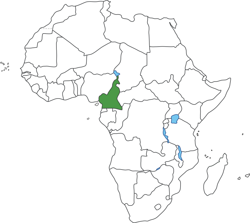 아프리카 대륙 지도에 카메룬 영역 표시된 지도
