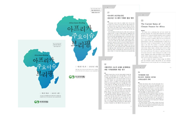 아프리카 주요이슈 브리핑의 사진